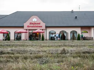 Zajazd Orchidea - Restauracja & Hotel 24h
