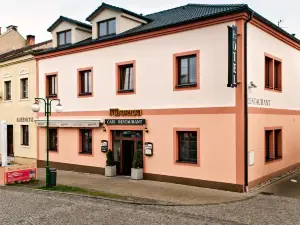 Hotel Merica Bor