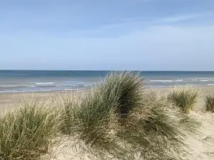 Rêve Bleu