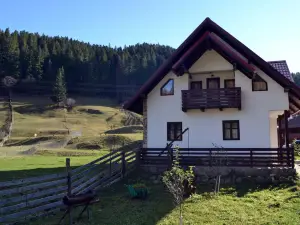 Pensiunea Daria Putna