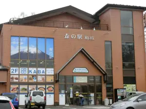 Asia Hotel Fujisan