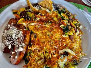 Hotel Casa Teresa café galería