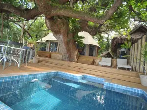 Hidden Cove Eco Retreat