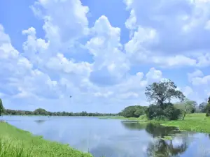 Wilpattu Jungle Resort
