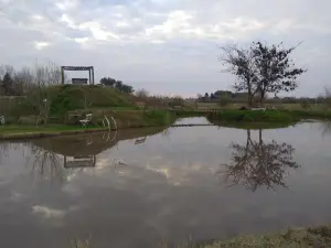 Los Furgones de Areco