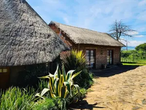 Bird Haven Guesthouse