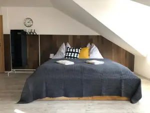 Apartment Roci