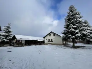 Pensiunea Vis Alpin Belis