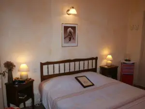 Hôtel le Dauphin