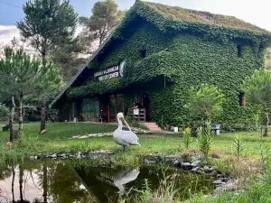 H&A Guest House
