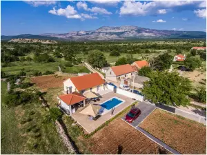 House Mellifera