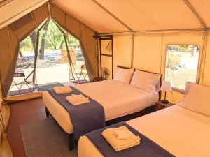 Wildhaven Sonoma Glamping