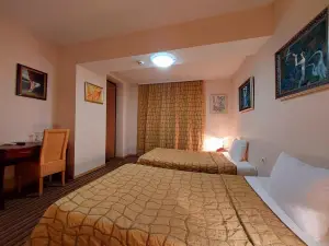 Family Art Hotel Gallery
