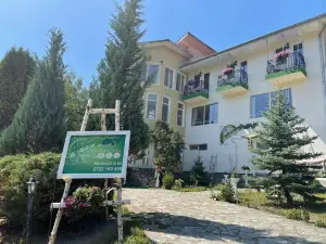 Pensiunea la Mesteceni -Zur Birke, Poiana Marului-Caras Severin
