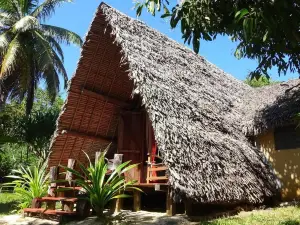 Aurora Lodge