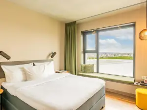 黛絲弗拉斯阿爾高