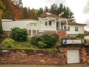 วิลล่าบรูเดอร์เฟลส์