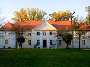 Pałac Wąsowo