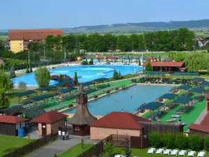 Apollo Wellness Club