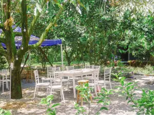Homestay Vuon Trai Cay Nhiet Doi VO UU Garden