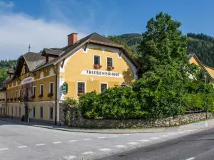 Triebenerhof
