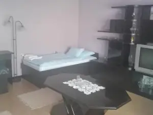 Domaćinstvo Opavski