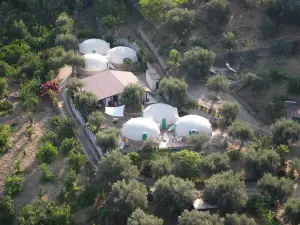 Giardino di Sicilia