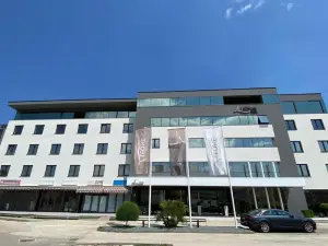 호텔 레오네 메주고리예