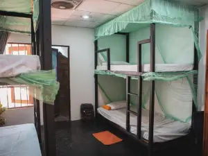 Nature Rex Hostel