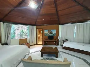 B&B Caminho da Floresta