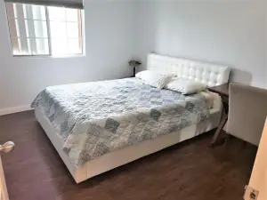 Swan Boutique Apartment