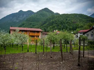 Apartments Masera
