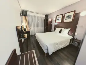 阿訥馬斯杜中心飯店