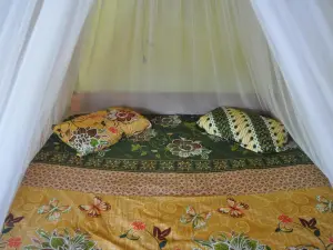 Fun Family Guest House n Jungle Tour
