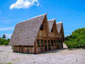 Mikoko Beach & Cottages