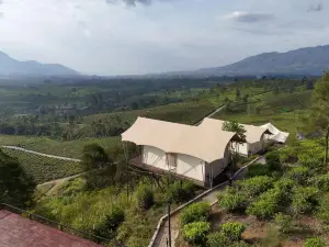Nimo Tea Resort
