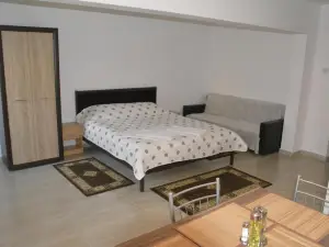 Casa Bucur
