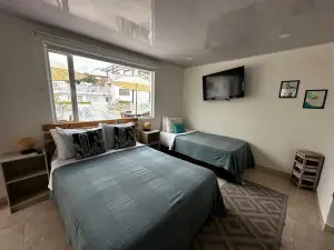 Kalathea Casa