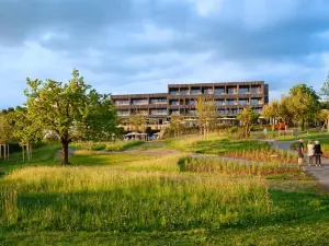 ซอนเนอ เซโฮเทล