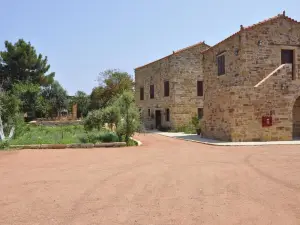 Archontiko Riziko