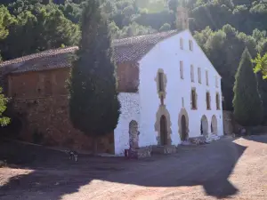 La Coveta Rural