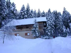 Apartment Medo