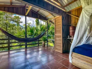 Selva Bananito Lodge