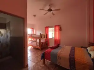 Rainforest Lodge del Rio
