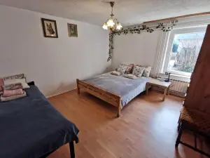 Na Kopitarjevi