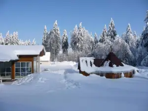 Hotel Und Berggasthof Tanzbuche