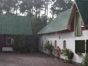 Skummeslöv B & B