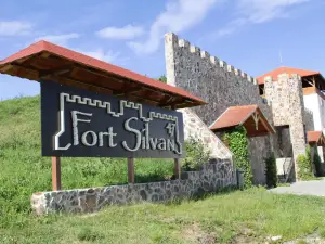 Pensiunea Fort Silvan