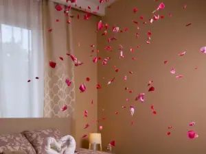 Apartmani Nera de Lux