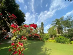 Cabanas Con Piscina en la Entrada de Obera